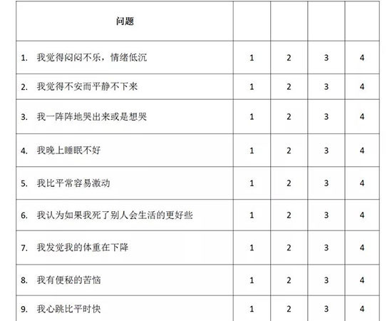 AIP心里健康评测表