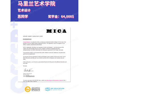 美国院校纯艺专业offer展示