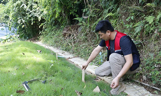 驱蛇药喷洒工作现场