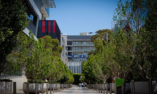 斯威本科技大学